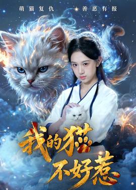 我的猫不好惹