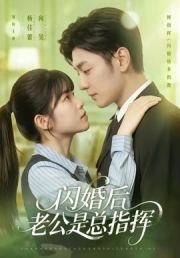 闪婚后老公是总指挥